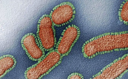 Вірус гриппу