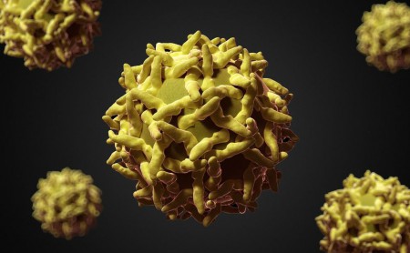 Вирус Желтой лихорадки.