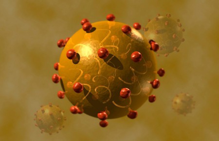 Вирус гепатита С.