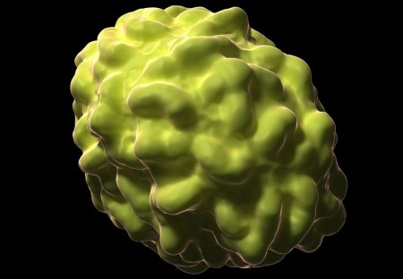 Вирус оспы (#Smallpox )